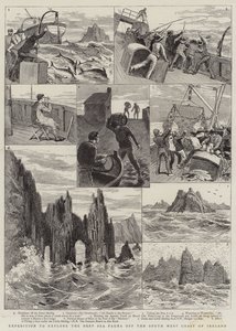 Expédition pour explorer la faune des grands fonds au large de la côte sud-ouest de l